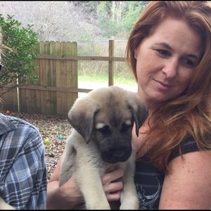 Meet your Posher, Kristen